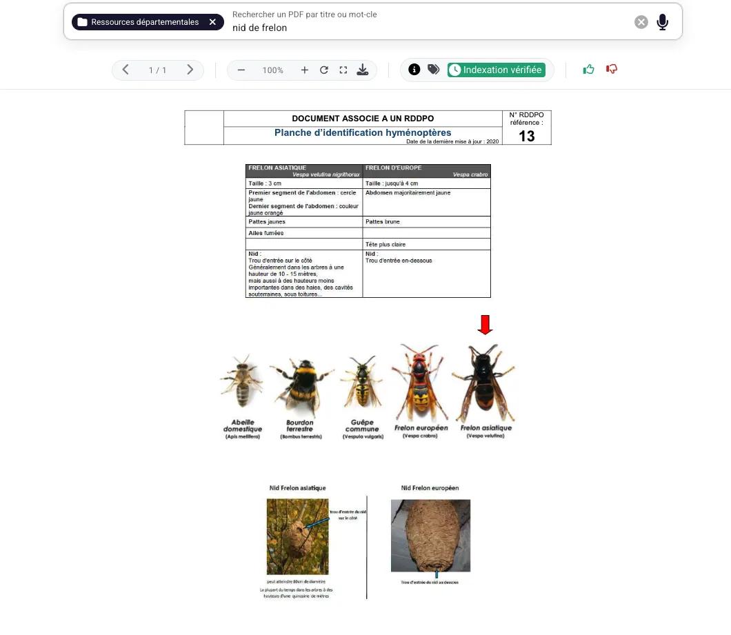 DoctrinOps : recherche « nid de frelon », planche d'identification ouverte, badge « Indexation vérifiée »